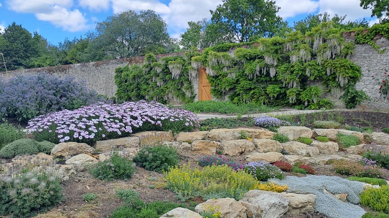 A blue sky with clouds and a garden scene. There is a wall at the back of the garden which has purple flowers and green leaves of wisteria growing along it. There are rocks interspersed with flowers in the foreground, and a large purple flowering plant t o the back of the garden.